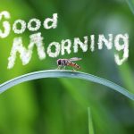 Frases de buenos días en diferentes idiomas